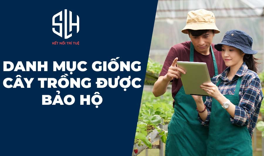 Danh mục giống cây trồng được bảo hộ